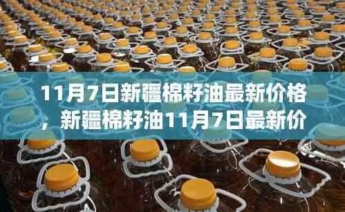 新疆棉籽油最新价格探析,背景、事件与地位(11月7日)