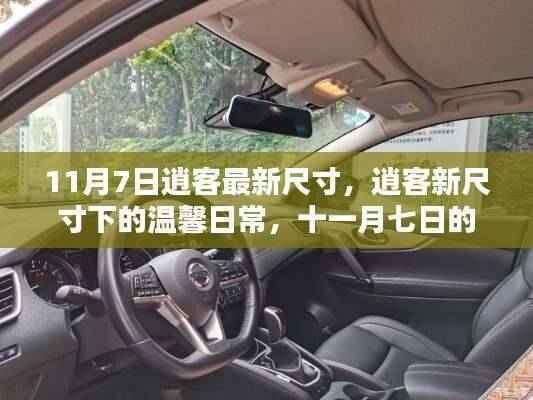 11月7日逍客新尺寸揭秘,温馨日常与美好时光