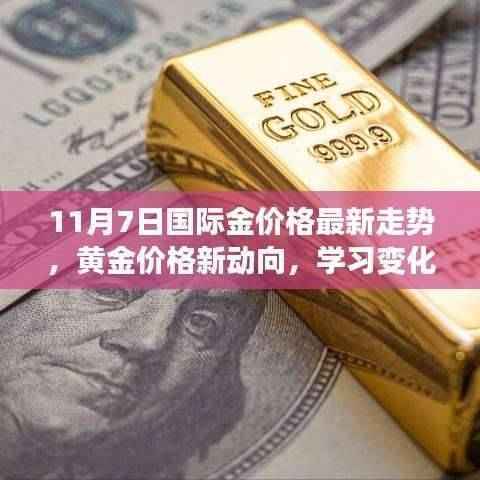 黄金新动向揭秘,把握机遇,成就梦想