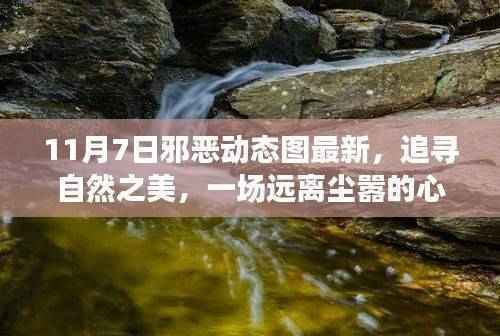 追寻自然之美,最新邪恶动态图启程的心灵之旅