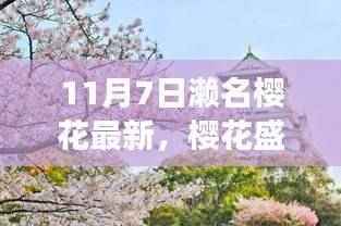 樱花盛开之日的奇妙邂逅