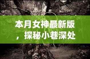 本月女神最新版，小巷深处的特色小店探秘