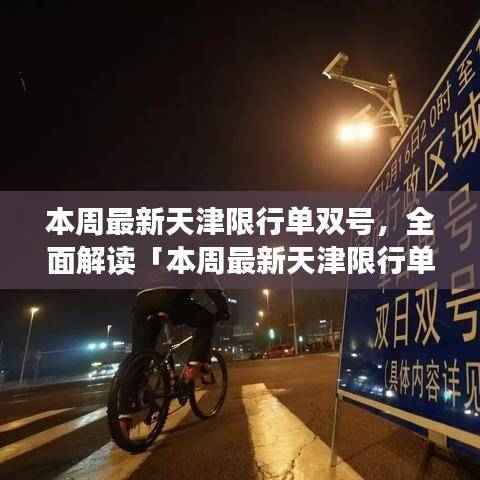 天津限行单双号全面解读,特性、体验、竞品对比及用户群体深度分析