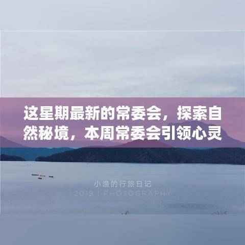 常委会引领心灵探索自然秘境之旅，启程寻找内心平静之路