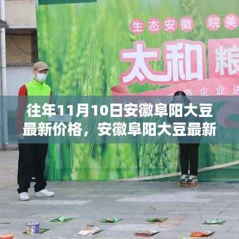 安徽阜阳历年11月10日大豆最新价格回顾与波动分析