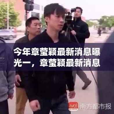 章莹颖最新消息曝光,全面关注指南与追踪教程