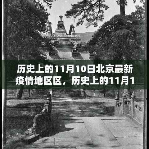 历史上的11月10日北京疫情深度解析与观点分享,疫情地区深度解析与个人理由探讨