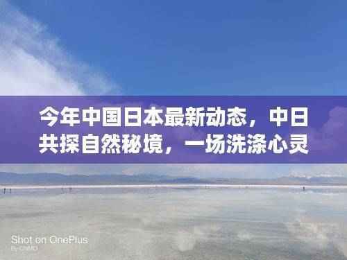 中日共探自然秘境,心灵洗涤之旅与双边关系的最新动态