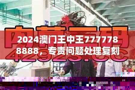 2024澳门王中王7777788888,专责问题处理复刻LOW708.23版