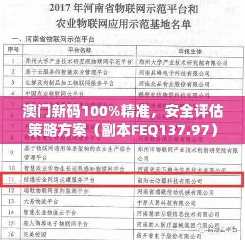 澳门新码100%精准,安全评估策略方案(副本FEQ137.97)