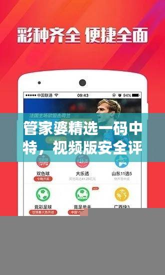 管家婆精选一码中特，视频版安全评估攻略HKL463.93