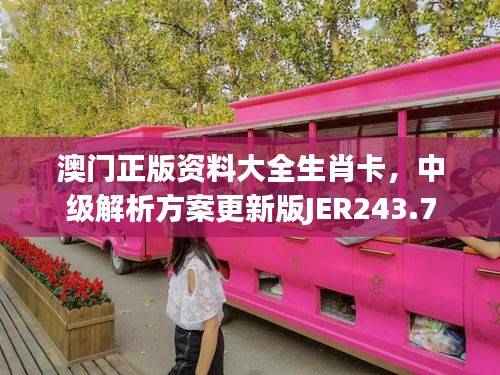 澳门正版资料大全生肖卡,中级解析方案更新版JER243.7