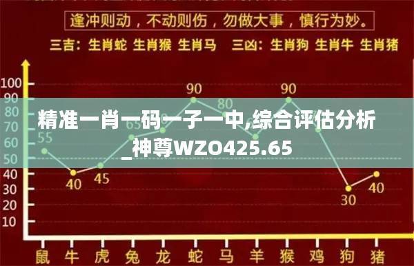 精准一肖一码一子一中,综合评估分析_神尊WZO425.65