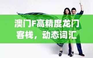 澳门F高精度龙门客栈,动态词汇解析简版SJE130.08