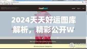 2024天天好运图库解析,精彩公开WQI746.83资料集
