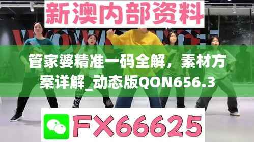 管家婆精准一码全解,素材方案详解_动态版QON656.3