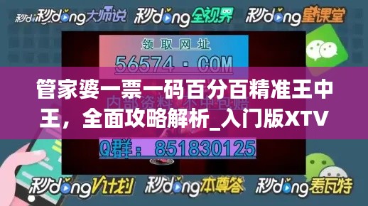 管家婆一票一码百分百精准王中王,全面攻略解析_入门版XTV557.14