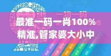 最准一码一肖100%精准,管家婆大小中特,时代资料解释落实_终极版GVT507.98