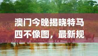 澳门今晚揭晓特马四不像图,最新规则解读_国际版 DYX184.33