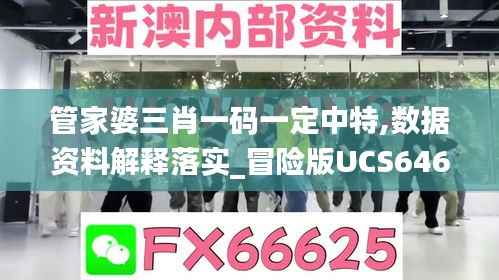 管家婆三肖一码一定中特,数据资料解释落实_冒险版UCS646.04