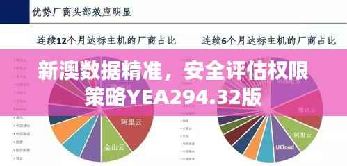 新澳数据精准,安全评估权限策略YEA294.32版