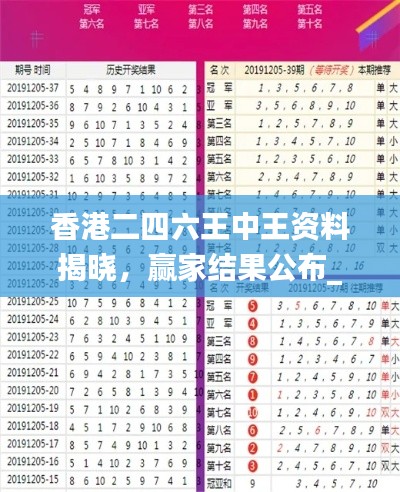 香港二四六王中王资料揭晓,赢家结果公布_工具版RDZ301.55