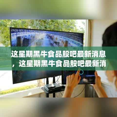 黑牛食品股吧最新消息解析,掌握股市动态,洞悉股市走向!