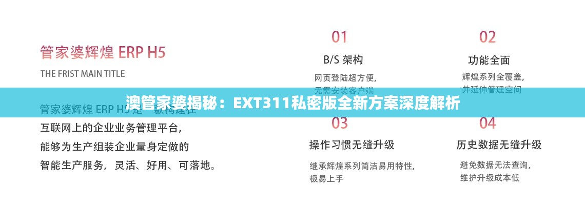 澳管家婆揭秘:EXT311私密版全新方案深度解析