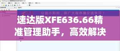 速达版XFE636.66精准管理助手，高效解决问题专家