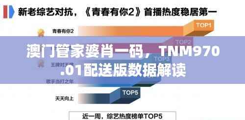 澳门管家婆肖一码,TNM970.01配送版数据解读