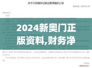 2024新奥门正版资料,财务净现值_灵武境QKS384.26