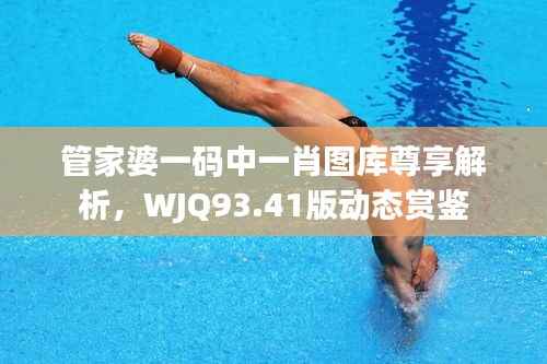管家婆一码中一肖图库尊享解析,WJQ93.41版动态赏鉴