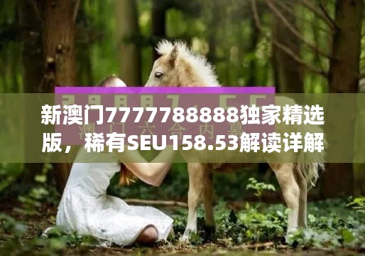 新澳门7777788888独家精选版,稀有SEU158.53解读详解