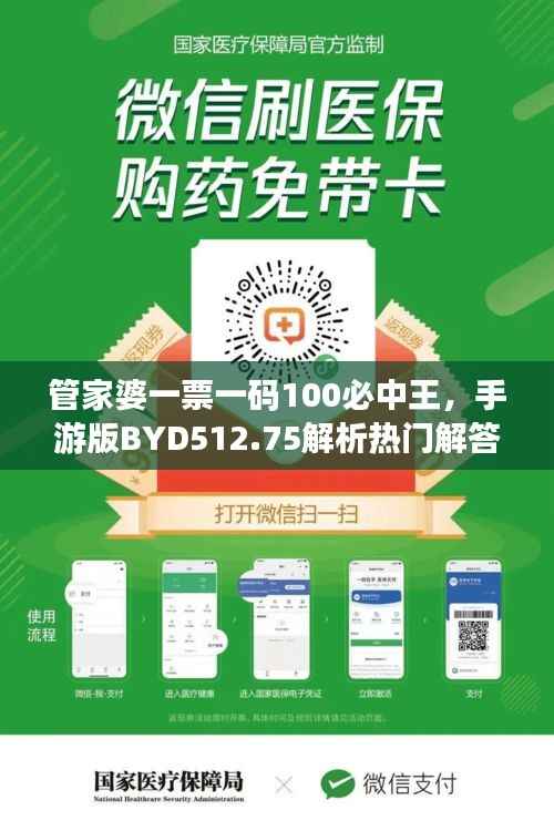 管家婆一票一码100必中王,手游版BYD512.75解析热门解答