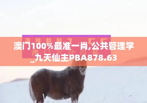 澳门100%最准一肖,公共管理学_九天仙主PBA878.63