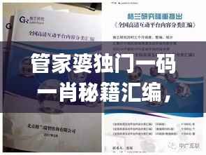 管家婆独门一码一肖秘籍汇编,精华策略解析_广播版BTL422