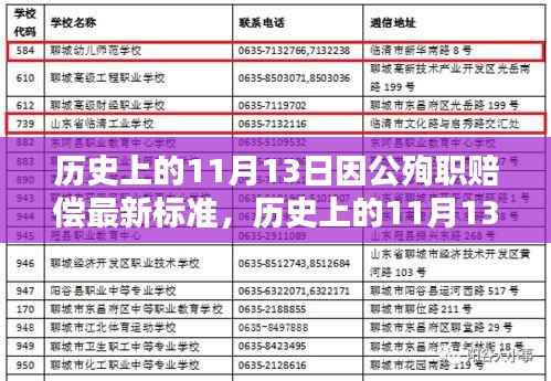 历史上的11月13日因公殉职赔偿最新标准解析与深度探讨