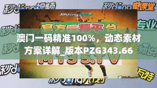 澳门一码精准100%,动态素材方案详解_版本PZG343.66
