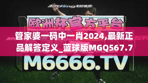 管家婆一码中一肖2024,最新正品解答定义_蓝球版MGQ567.72
