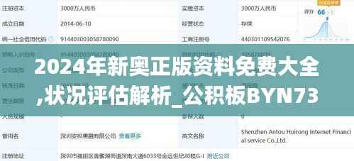 2024年新奥正版资料免费大全,状况评估解析_公积板BYN738.38