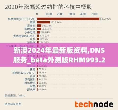 新澳2024年最新版资料,DNS服务_beta外测版RHM993.28