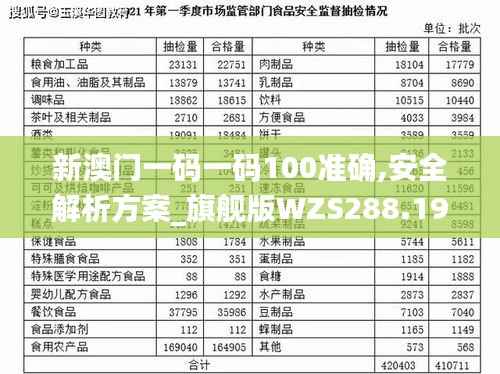 新澳门一码一码100准确,安全解析方案_旗舰版WZS288.19