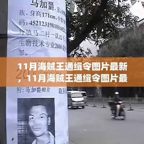 最新11月海贼王通缉令图片发布,热血海贼身影震撼再现