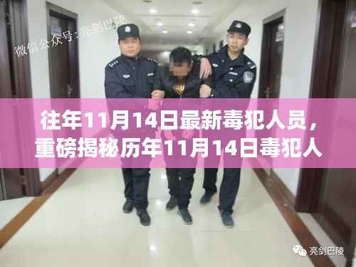 揭秘历年毒犯动态,毒品犯罪背后的真相深度剖析