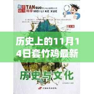 历史上的11月14日套竹鸡最新视频揭秘,探索秘境与小巷深处的套阵传奇