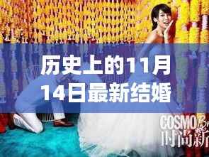 爱在十一月十四日,独家温馨婚礼流程与记忆