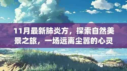 十一月最新肺炎方,自然美景探索之旅,心灵洗涤的奇妙之旅