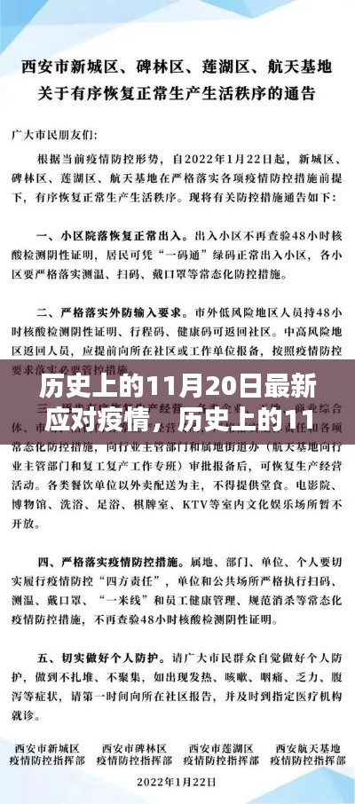历史上的11月20日,最新疫情应对步骤指南