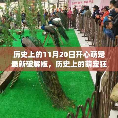 萌宠狂欢日揭秘,破解版上线,自然美景之旅探寻内心宁静与喜悦