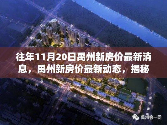 揭秘禹州新房价动态,揭秘往年11月20日的背后故事与影响